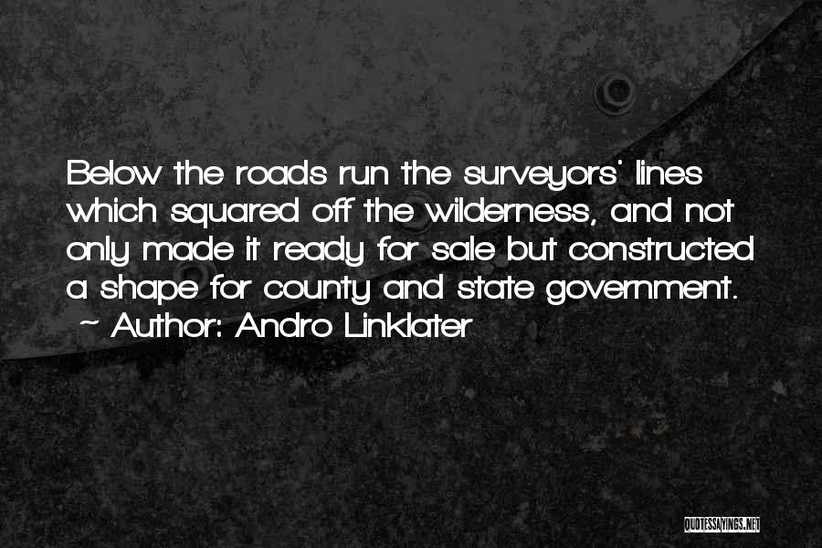 Surveyors Quotes By Andro Linklater