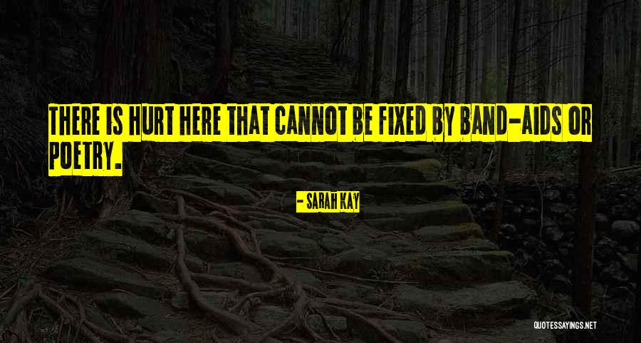 Survivable Aircraft Quotes By Sarah Kay Survivable Aircraft Quotes By Sarah Kay