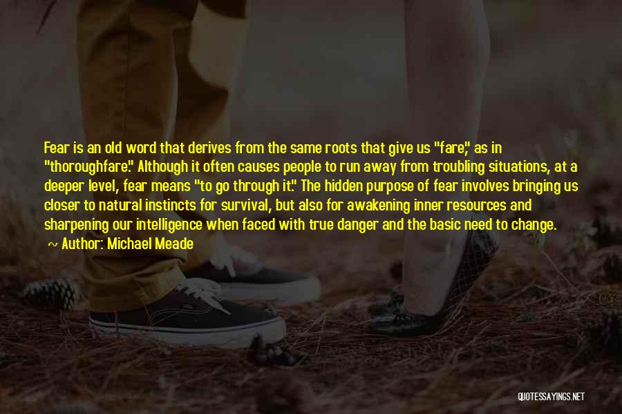 Survival Instincts Quotes By Michael Meade