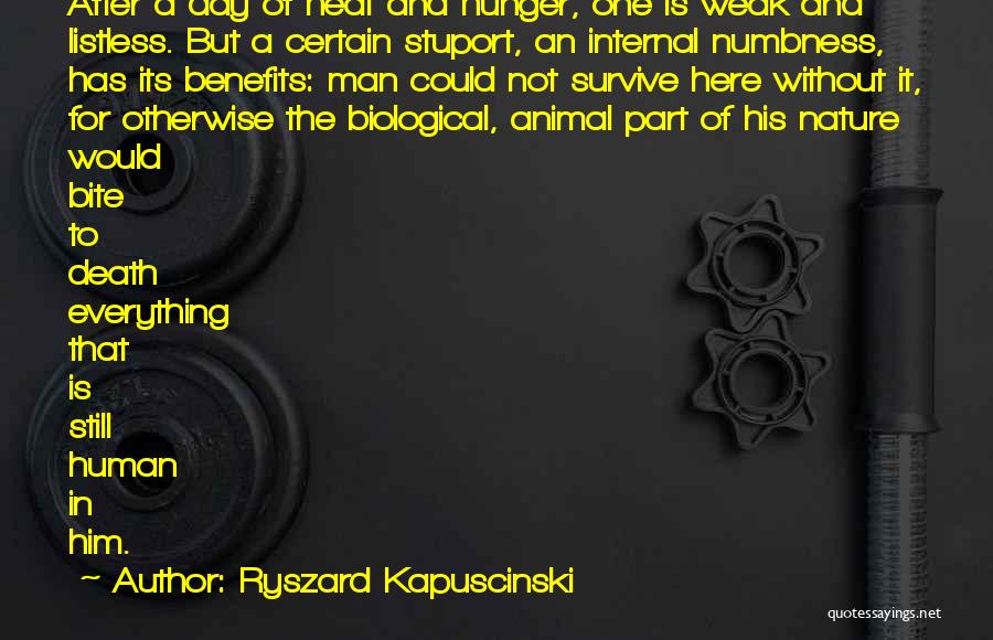 Survive The Day Quotes By Ryszard Kapuscinski