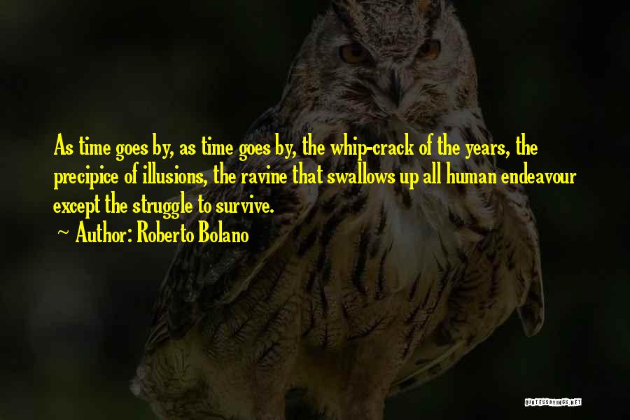 Survive The Struggle Quotes By Roberto Bolano