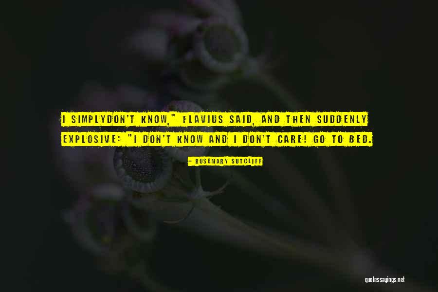 Survived Thesaurus Quotes By Rosemary Sutcliff Survived Thesaurus Quotes By Rosemary Sutcliff