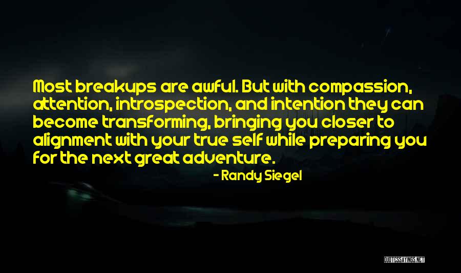 Surviving A Breakup Quotes By Randy Siegel Surviving A Breakup Quotes By Randy Siegel