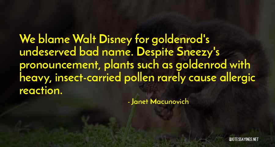 Survivor Jeff Quotes By Janet Macunovich Survivor Jeff Quotes By Janet Macunovich