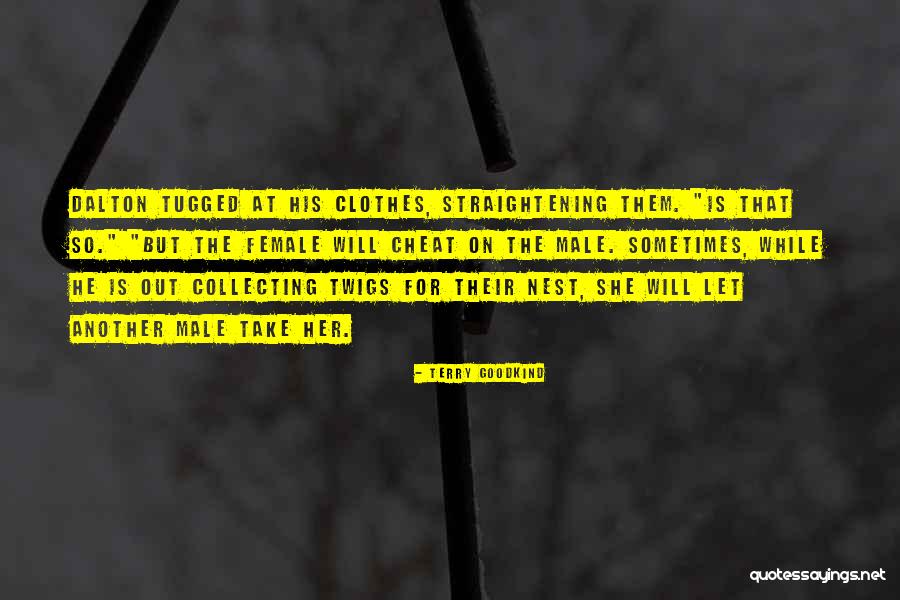 Survivorman Tv Quotes By Terry Goodkind Survivorman Tv Quotes By Terry Goodkind
