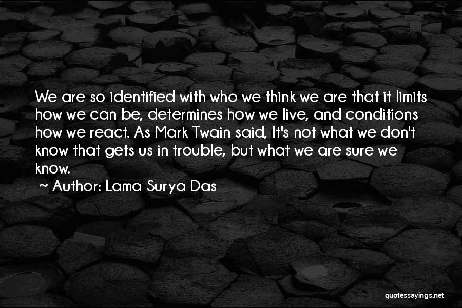 Surya Quotes By Lama Surya Das