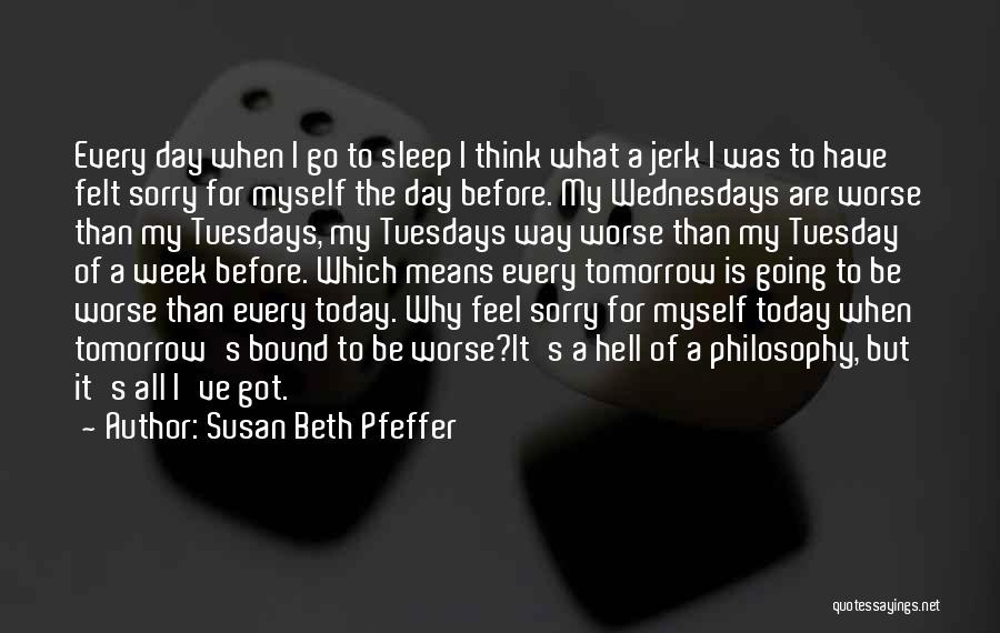 Susan Beth Pfeffer Quotes 399368