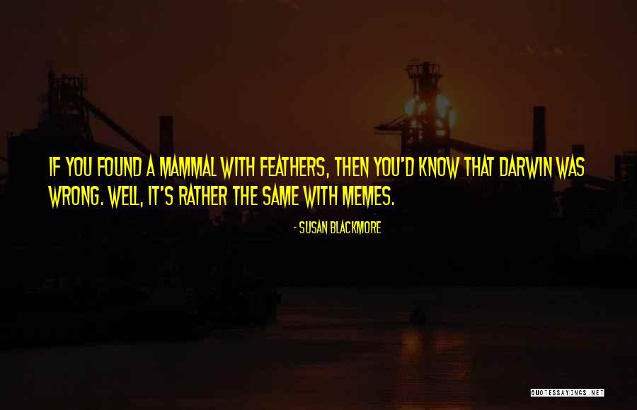 Susan Blackmore Quotes 1010559 Susan Blackmore Quotes 1010559