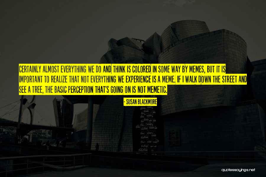Susan Blackmore Quotes 399337 Susan Blackmore Quotes 399337