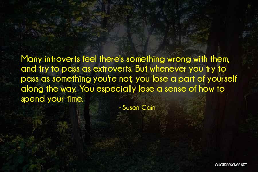 Susan Cain Introverts Quotes By Susan Cain