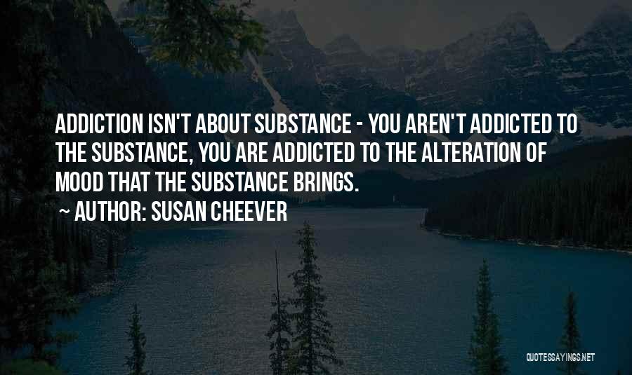 Susan Cheever Quotes 1623915