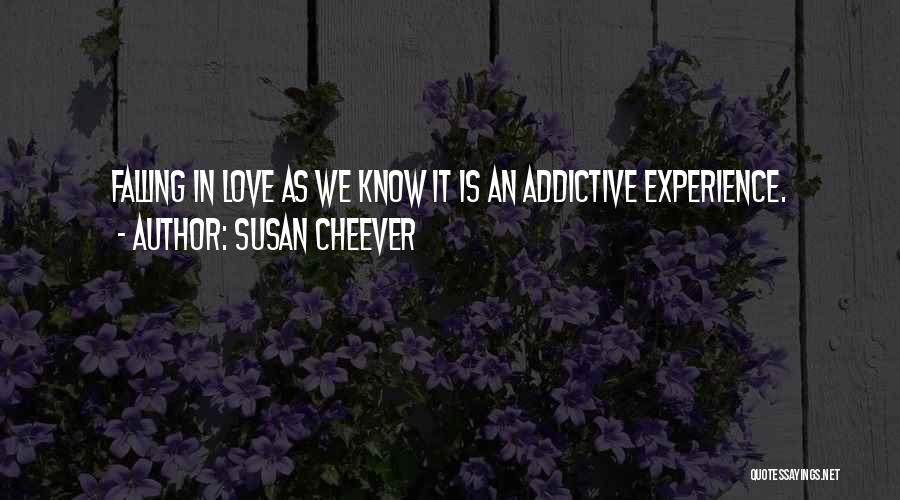 Susan Cheever Quotes 781165