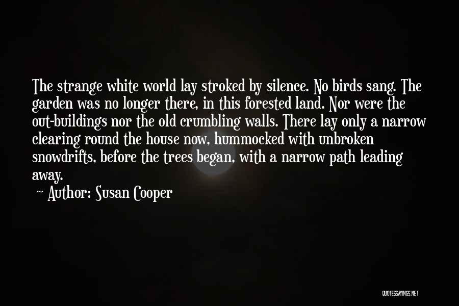 Susan Cooper Quotes 1947965