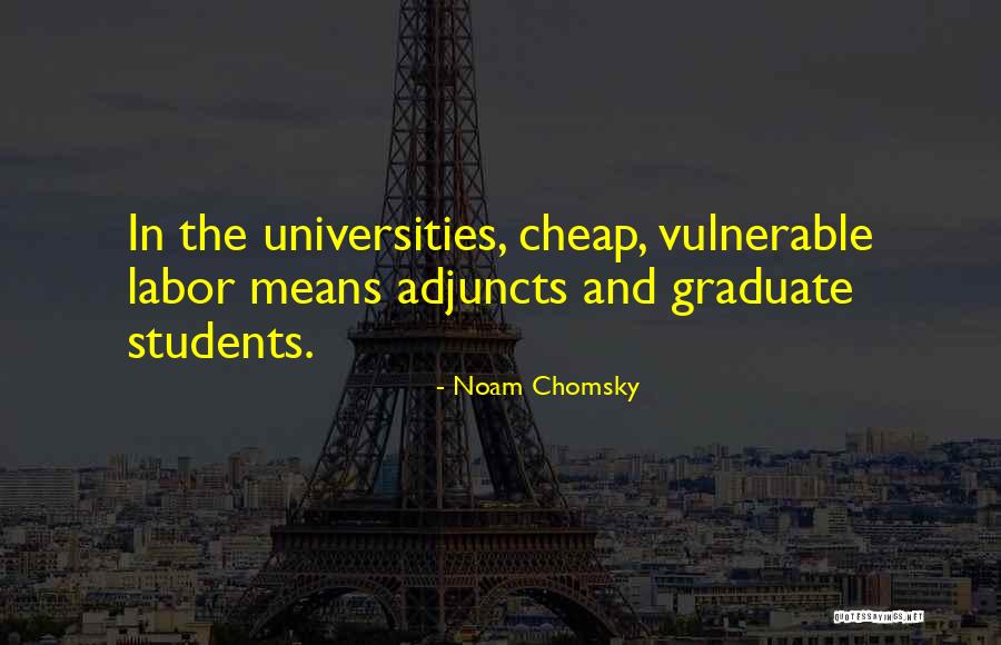Susan Mckinney Steward Quotes By Noam Chomsky
