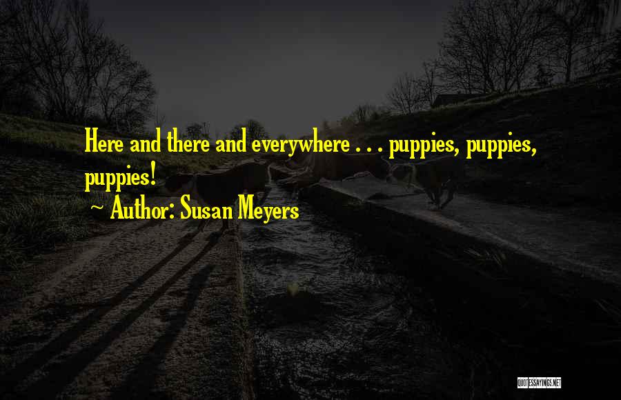 Susan Meyers Quotes 1374389