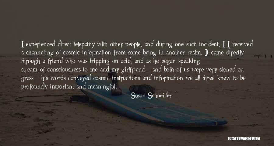 Susan Schneider Quotes 1100408