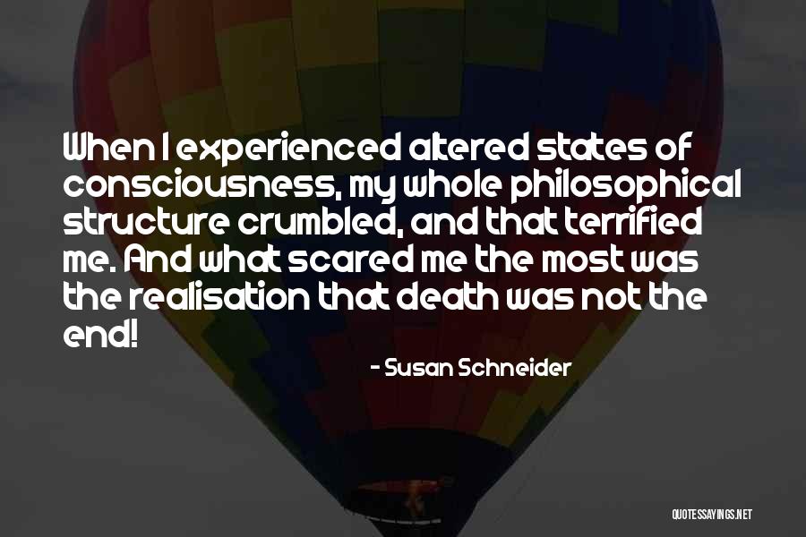 Susan Schneider Quotes 1121872