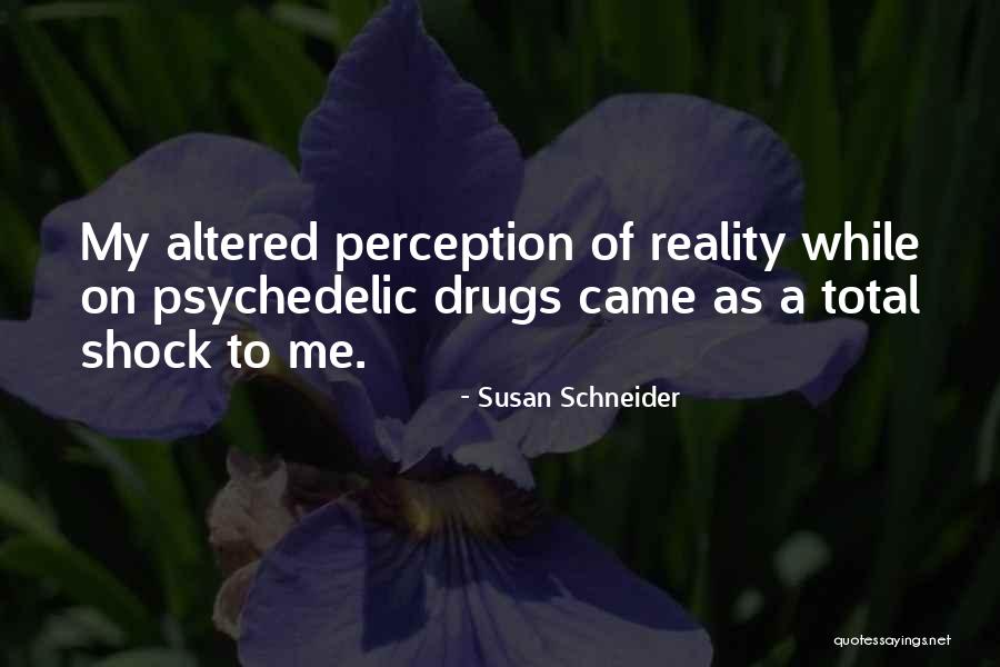 Susan Schneider Quotes 139780