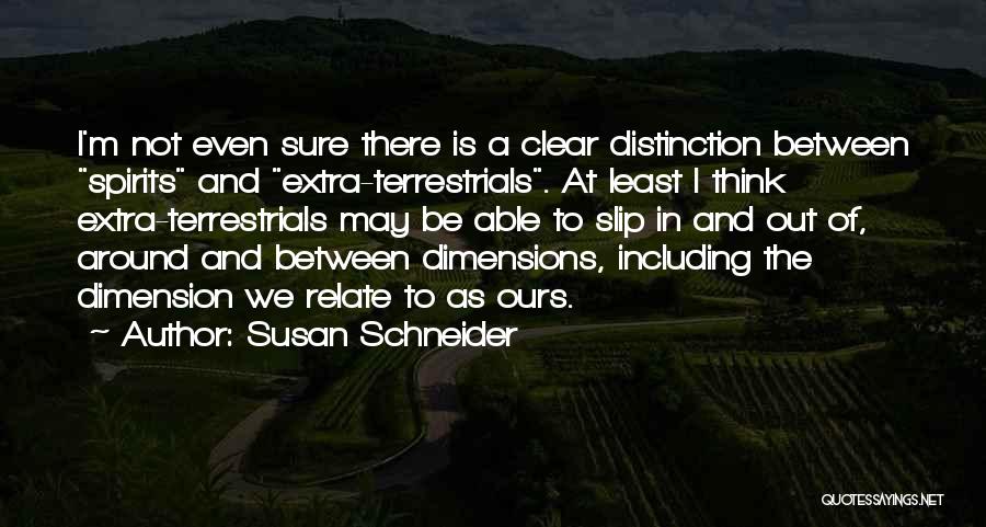 Susan Schneider Quotes 1779698