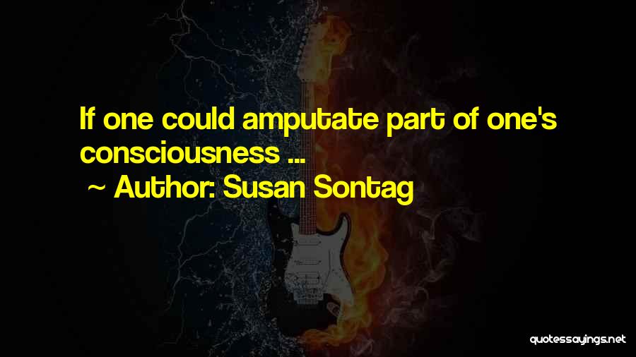 Susan Sontag Quotes 1033379