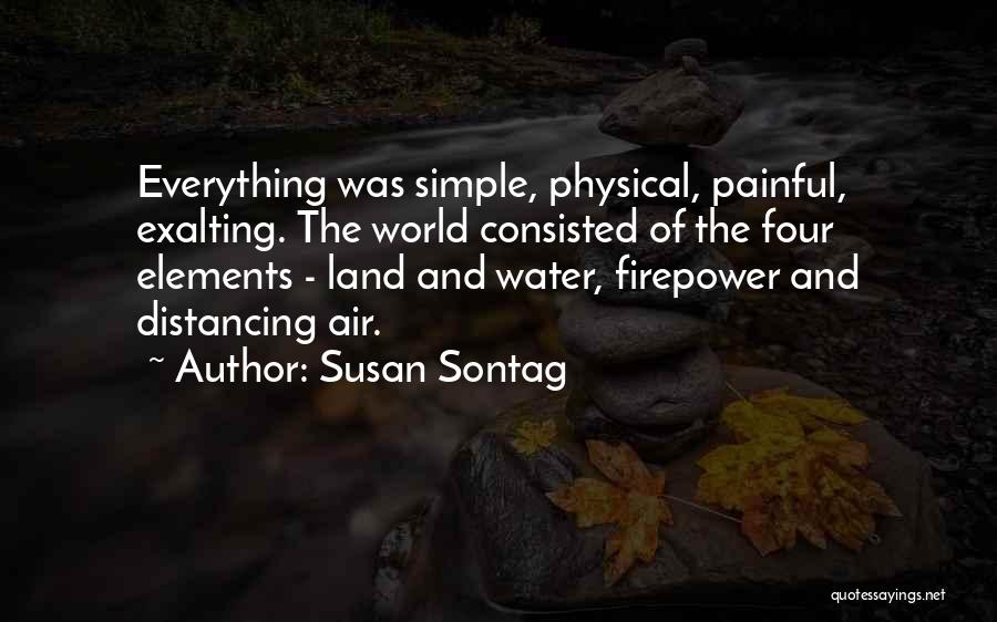 Susan Sontag Quotes 1110816