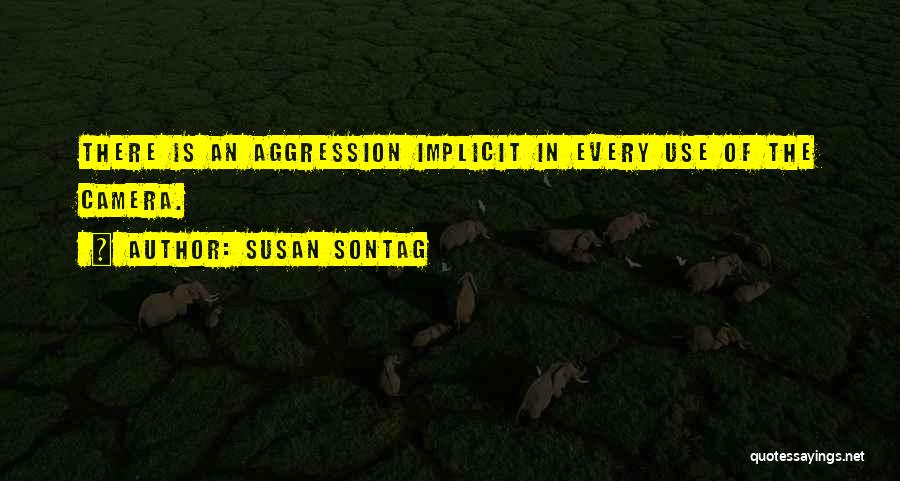 Susan Sontag Quotes 143723