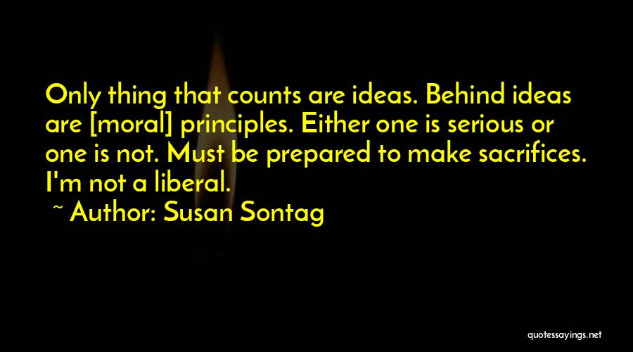 Susan Sontag Quotes 1908679