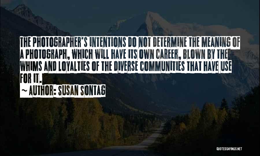 Susan Sontag Quotes 2206356