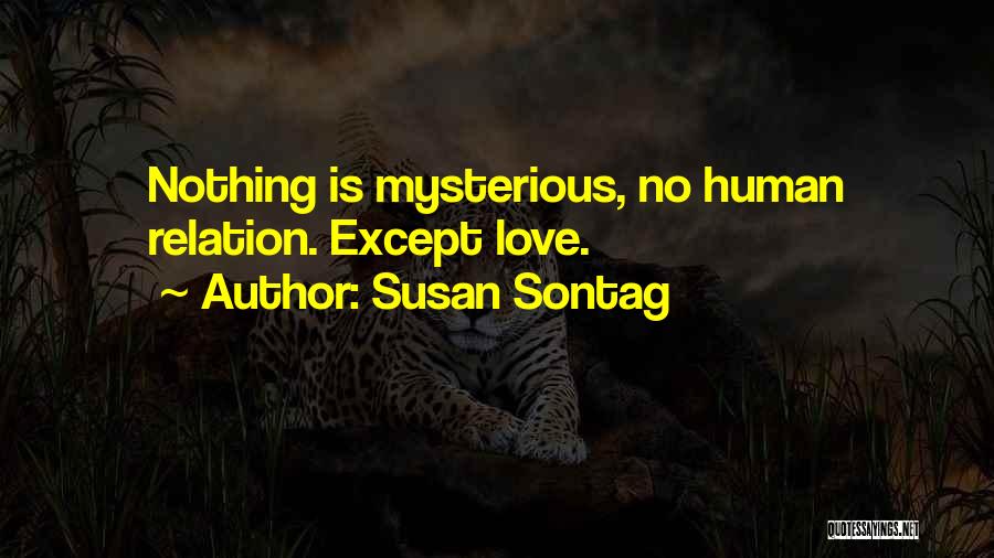 Susan Sontag Quotes 662545