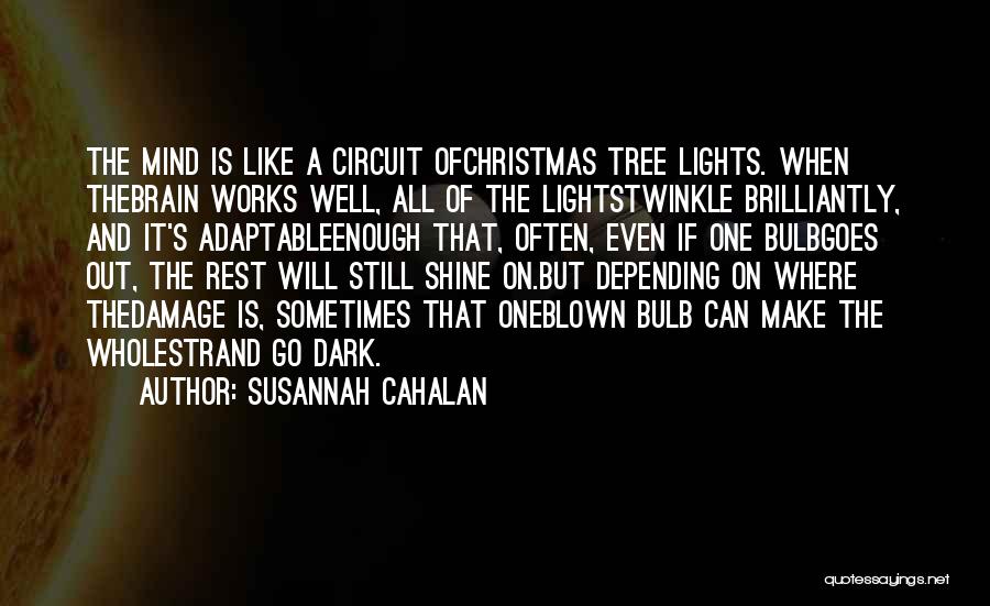 Susannah Cahalan Quotes 1509919