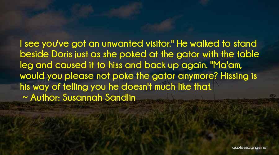Susannah Sandlin Quotes 702664