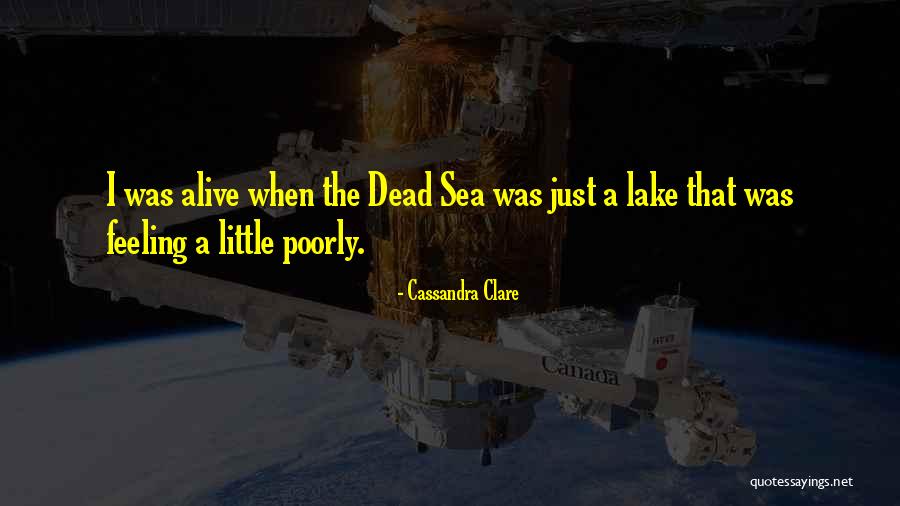 Susanne Conrad Quotes By Cassandra Clare Susanne Conrad Quotes By Cassandra Clare