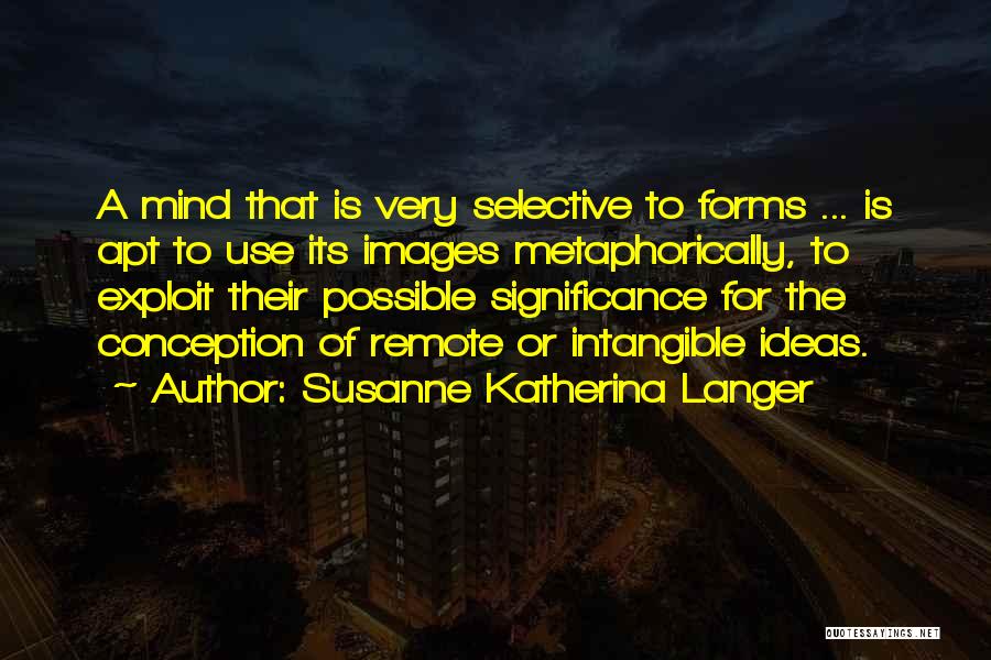Susanne Katherina Langer Quotes 1352015