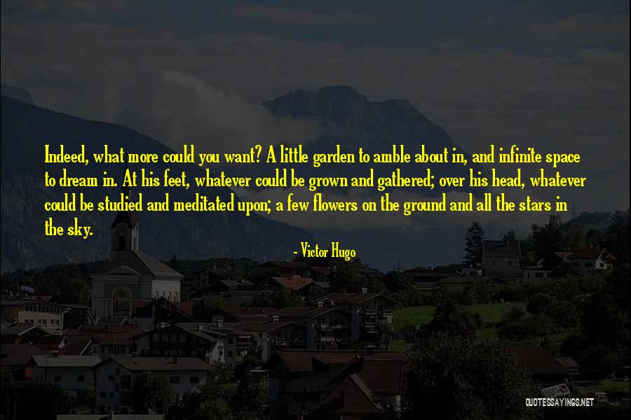 Susedske Quotes By Victor Hugo