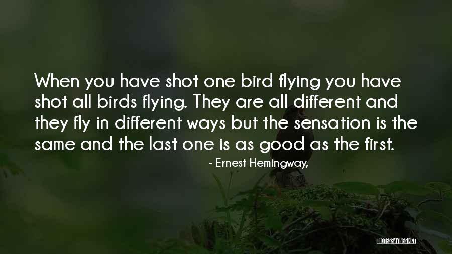 Sushen Medicamentos Quotes By Ernest Hemingway, Sushen Medicamentos Quotes By Ernest Hemingway,