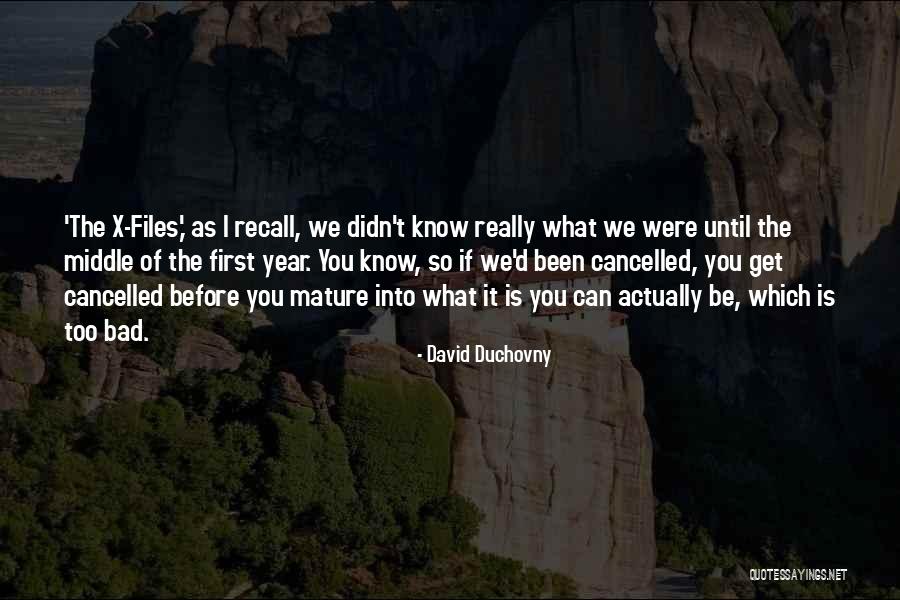 Susithrs Quotes By David Duchovny Susithrs Quotes By David Duchovny