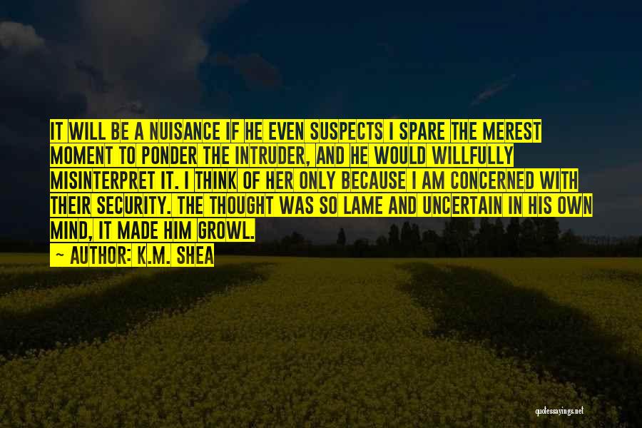 Suspects Quotes By K.M. Shea