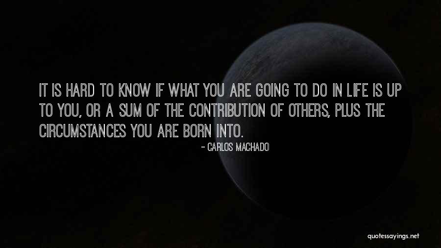 Suspendation Quotes By Carlos Machado Suspendation Quotes By Carlos Machado