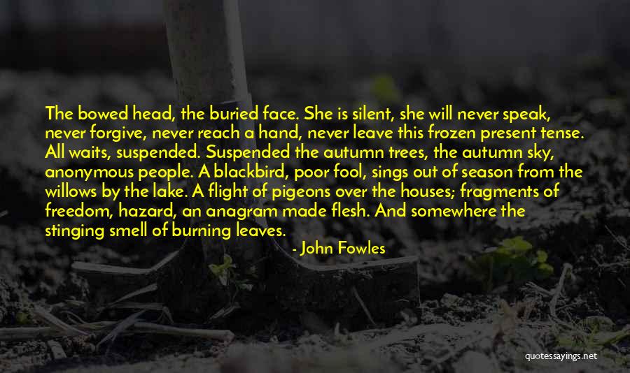 Suspended Quotes By John Fowles