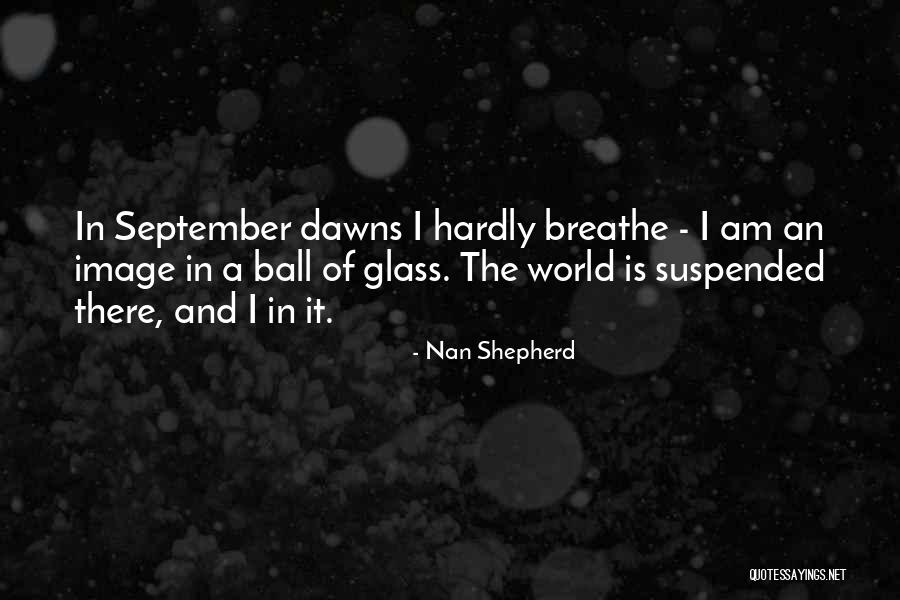 Suspended Quotes By Nan Shepherd