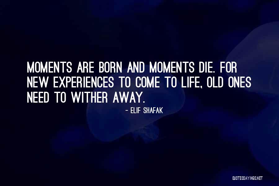 Suspendida Significado Quotes By Elif Shafak Suspendida Significado Quotes By Elif Shafak