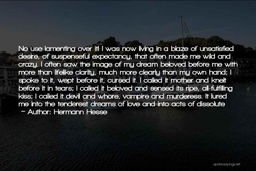 Suspenseful Love Quotes By Hermann Hesse