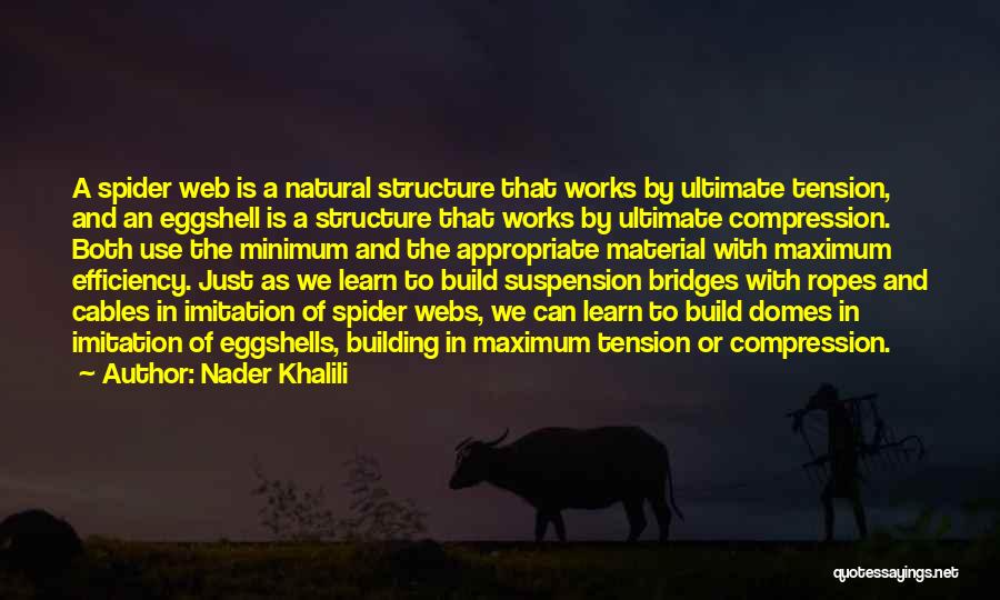 Suspension Bridges Quotes By Nader Khalili