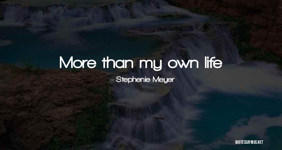 Suspensories Quotes By Stephenie Meyer