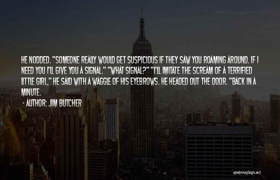 Suspicious Girl Quotes By Jim Butcher
