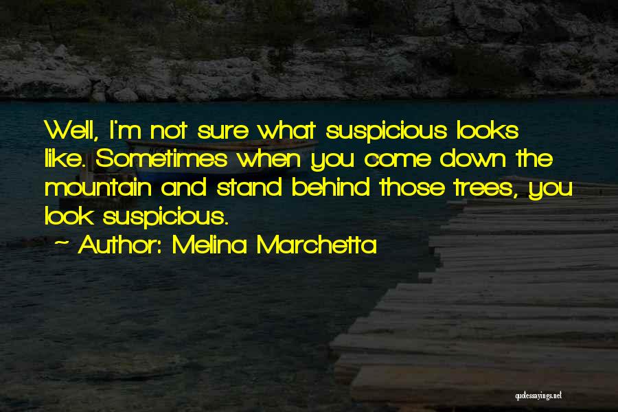 Suspicious Quotes By Melina Marchetta