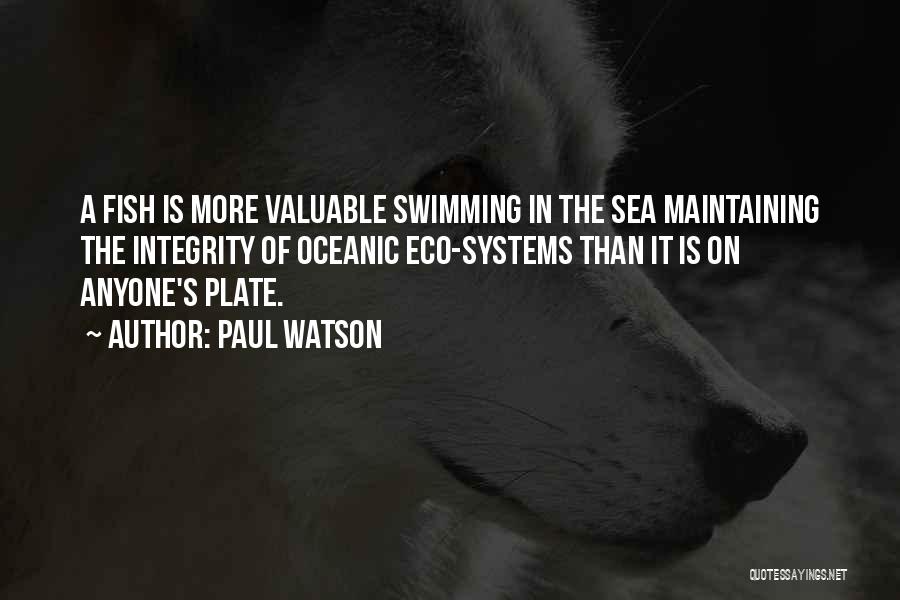 Sussing Synonym Quotes By Paul Watson