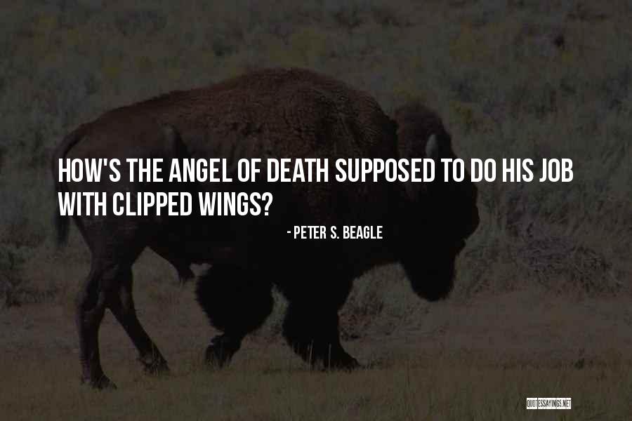 Susskind Funeral Syracuse Quotes By Peter S. Beagle Susskind Funeral Syracuse Quotes By Peter S. Beagle