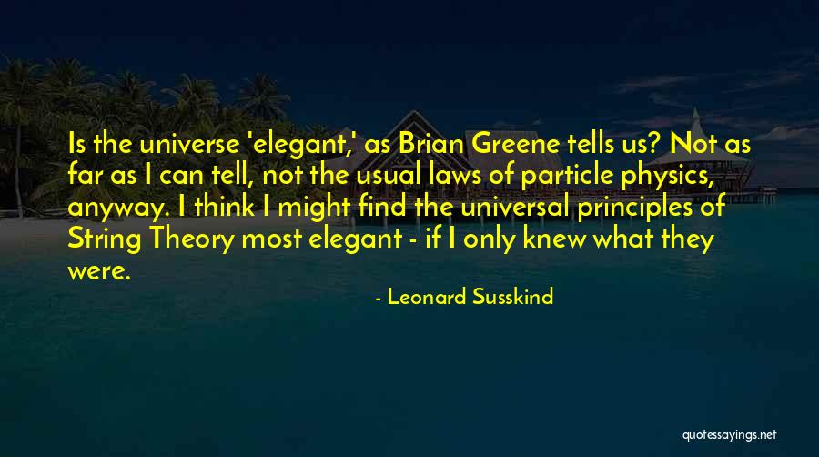 Susskind Quotes By Leonard Susskind