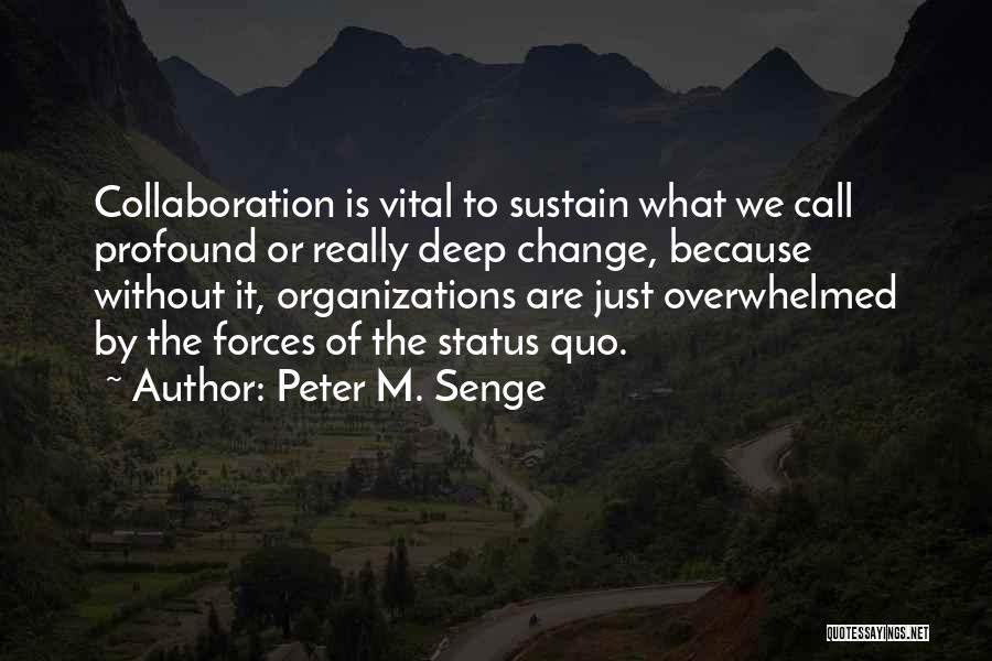 Sustain Change Quotes By Peter M. Senge